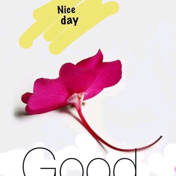 Meet your Posher, Ursula - Picture 1 of 1